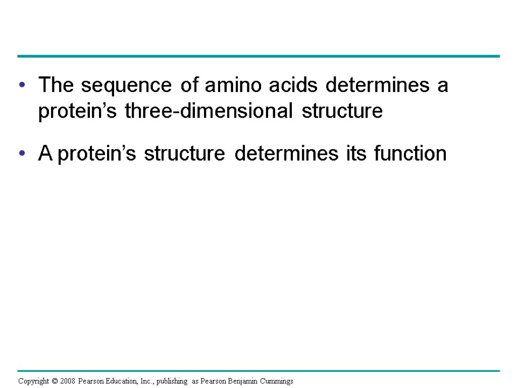 The sequence of amino acids determines a protein’s three-dimensional structure A protein’s structure determines